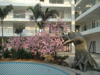 ̫�O������^(q��)