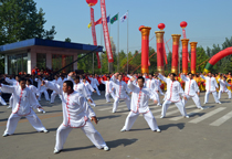 ��˾�S�c�_Ļʽ̫�Oȭ����