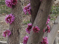 ̫�O�²����O(sh��)�乫˾���쾰ɫ