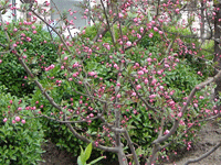 ̫�O�²����O(sh��)�乫˾���쾰ɫ