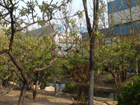 ̫�O�²����O(sh��)�乫˾���쾰ɫ