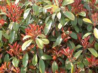 ̫�O��@��ɫ��̫�O�²����O(sh��)�乫˾