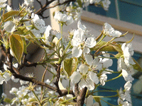 ̫�O��@��ɫ��̫�O�²����O(sh��)�乫˾